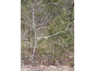 Who doesn't want to live on an island? Now you can when you buy on Holiday Island Golf Course in Arkansas - for sale on GolfHomes.com, golf home, golf lot