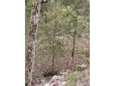 Who doesn't want to live on an island? Now you can when you buy on Holiday Island Golf Course in Arkansas - for sale on GolfHomes.com, golf home, golf lot