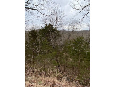 Who doesn't want to live on an island? Now you can when you buy on Holiday Island Golf Course in Arkansas - for sale on GolfHomes.com, golf home, golf lot