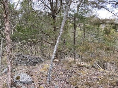Who doesn't want to live on an island? Now you can when you buy on Holiday Island Golf Course in Arkansas - for sale on GolfHomes.com, golf home, golf lot