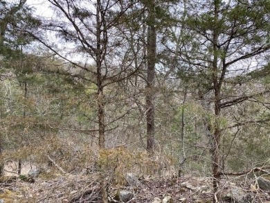 Who doesn't want to live on an island? Now you can when you buy on Holiday Island Golf Course in Arkansas - for sale on GolfHomes.com, golf home, golf lot