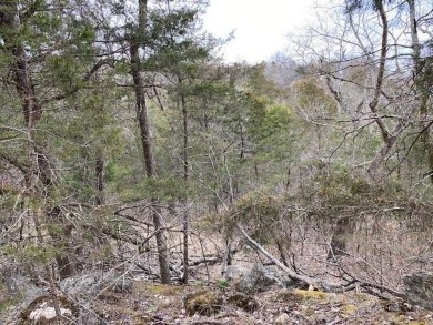Who doesn't want to live on an island? Now you can when you buy on Holiday Island Golf Course in Arkansas - for sale on GolfHomes.com, golf home, golf lot