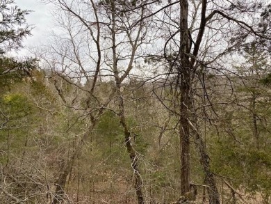 Who doesn't want to live on an island? Now you can when you buy on Holiday Island Golf Course in Arkansas - for sale on GolfHomes.com, golf home, golf lot