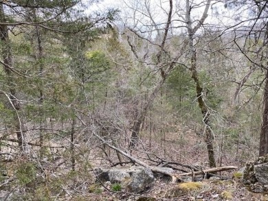 Who doesn't want to live on an island? Now you can when you buy on Holiday Island Golf Course in Arkansas - for sale on GolfHomes.com, golf home, golf lot