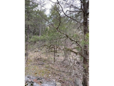 Who doesn't want to live on an island? Now you can when you buy on Holiday Island Golf Course in Arkansas - for sale on GolfHomes.com, golf home, golf lot