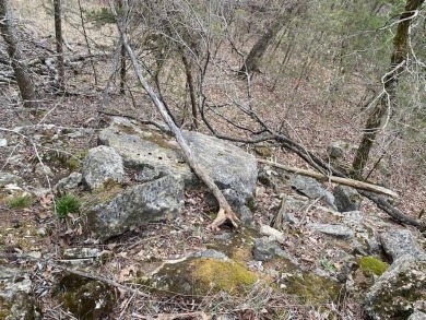 Who doesn't want to live on an island? Now you can when you buy on Holiday Island Golf Course in Arkansas - for sale on GolfHomes.com, golf home, golf lot