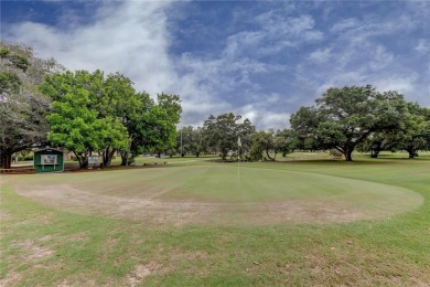 Welcome to carefree living in this spacious ground-floor condo on On Top Of The World Golf Course in Florida - for sale on GolfHomes.com, golf home, golf lot