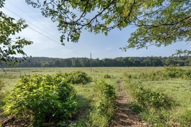 Elevate your lifestyle with a premier estate lot located in one on Blessings Golf Club in Arkansas - for sale on GolfHomes.com, golf home, golf lot