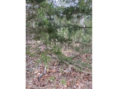 Who doesn't want to live on an island? Now you can when you buy on Holiday Island Executive Golf Course in Arkansas - for sale on GolfHomes.com, golf home, golf lot