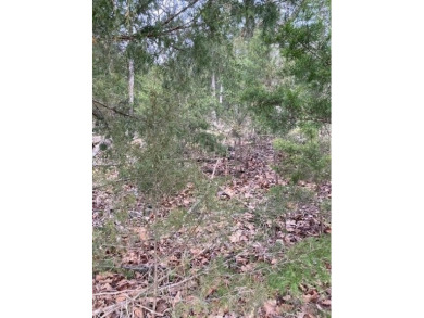 Who doesn't want to live on an island? Now you can when you buy on Holiday Island Executive Golf Course in Arkansas - for sale on GolfHomes.com, golf home, golf lot