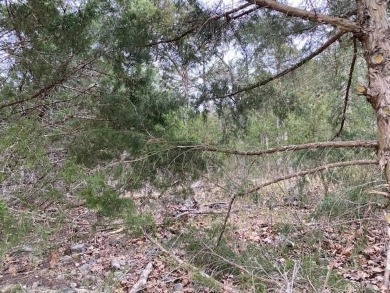 Who doesn't want to live on an island? Now you can when you buy on Holiday Island Executive Golf Course in Arkansas - for sale on GolfHomes.com, golf home, golf lot