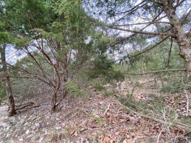 Who doesn't want to live on an island? Now you can when you buy on Holiday Island Executive Golf Course in Arkansas - for sale on GolfHomes.com, golf home, golf lot