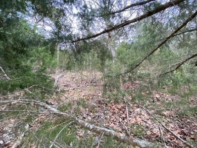 Who doesn't want to live on an island? Now you can when you buy on Holiday Island Executive Golf Course in Arkansas - for sale on GolfHomes.com, golf home, golf lot