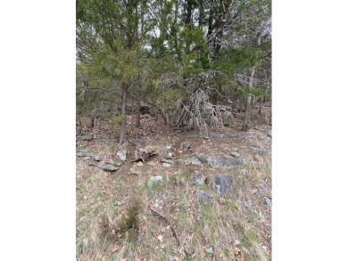 Who doesn't want to live on an island? Now you can when you buy on Holiday Island Executive Golf Course in Arkansas - for sale on GolfHomes.com, golf home, golf lot