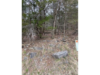 Who doesn't want to live on an island? Now you can when you buy on Holiday Island Executive Golf Course in Arkansas - for sale on GolfHomes.com, golf home, golf lot