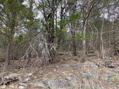 Who doesn't want to live on an island? Now you can when you buy on Holiday Island Executive Golf Course in Arkansas - for sale on GolfHomes.com, golf home, golf lot