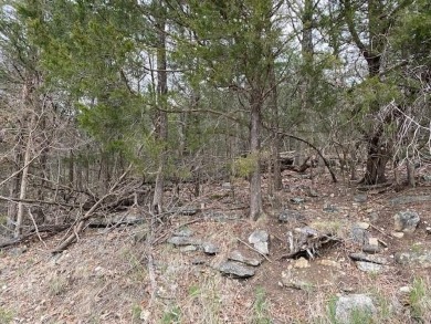 Who doesn't want to live on an island? Now you can when you buy on Holiday Island Executive Golf Course in Arkansas - for sale on GolfHomes.com, golf home, golf lot