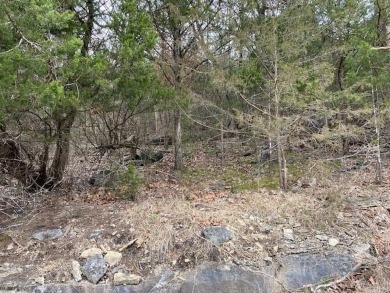 Who doesn't want to live on an island? Now you can when you buy on Holiday Island Executive Golf Course in Arkansas - for sale on GolfHomes.com, golf home, golf lot