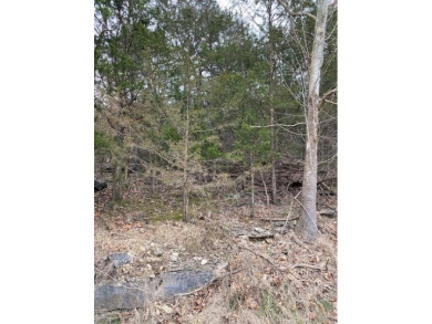 Who doesn't want to live on an island? Now you can when you buy on Holiday Island Executive Golf Course in Arkansas - for sale on GolfHomes.com, golf home, golf lot