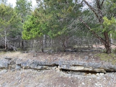 Who doesn't want to live on an island? Now you can when you buy on Holiday Island Executive Golf Course in Arkansas - for sale on GolfHomes.com, golf home, golf lot