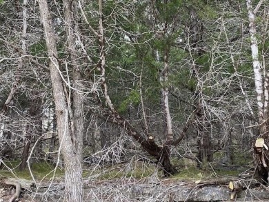 Who doesn't want to live on an island? Now you can when you buy on Holiday Island Executive Golf Course in Arkansas - for sale on GolfHomes.com, golf home, golf lot