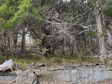 Who doesn't want to live on an island? Now you can when you buy on Holiday Island Executive Golf Course in Arkansas - for sale on GolfHomes.com, golf home, golf lot