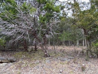 Who doesn't want to live on an island? Now you can when you buy on Holiday Island Executive Golf Course in Arkansas - for sale on GolfHomes.com, golf home, golf lot
