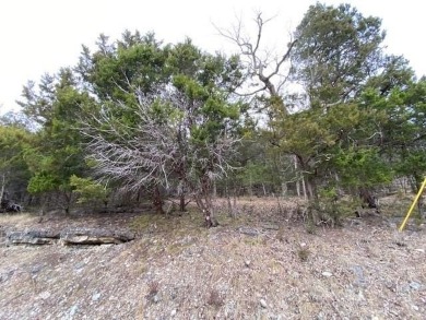 Who doesn't want to live on an island? Now you can when you buy on Holiday Island Executive Golf Course in Arkansas - for sale on GolfHomes.com, golf home, golf lot