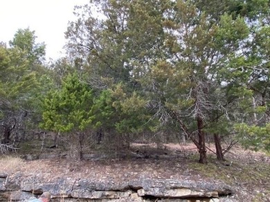 Who doesn't want to live on an island? Now you can when you buy on Holiday Island Executive Golf Course in Arkansas - for sale on GolfHomes.com, golf home, golf lot