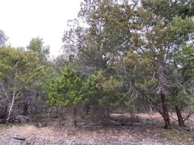Who doesn't want to live on an island? Now you can when you buy on Holiday Island Executive Golf Course in Arkansas - for sale on GolfHomes.com, golf home, golf lot