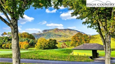 STUNNING HOME IN THE RESORT COMMUNITY OF JEFFERSON LANDING on Jefferson Landing Club in North Carolina - for sale on GolfHomes.com, golf home, golf lot