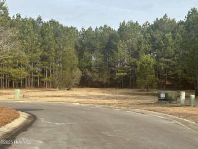 Build your dream home on this beautiful and private wooded on River Landing Golf Course in North Carolina - for sale on GolfHomes.com, golf home, golf lot