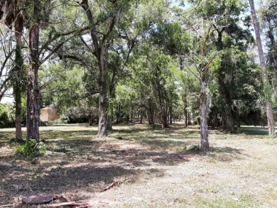 Discover a rare and valuable investment opportunity in the heart on The Golf Club of Ocala in Florida - for sale on GolfHomes.com, golf home, golf lot