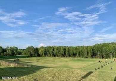 New Construction featuring The Brenton floor plan in The Vista on The Preserve 9 Hole Golf Course in Tennessee - for sale on GolfHomes.com, golf home, golf lot