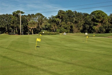 One or more photo(s) has been virtually staged. LAST CHANCE on The Meadows Golf and Country Club in Florida - for sale on GolfHomes.com, golf home, golf lot