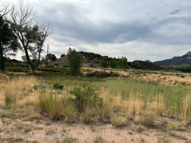 Don't miss this great opportunity to build your dream home on 2 on Rifle Creek Golf Course in Colorado - for sale on GolfHomes.com, golf home, golf lot