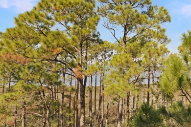 End unit residence providing unmatched privacy with no neighbors on Sandestin Golf and Beach Resort - Raven in Florida - for sale on GolfHomes.com, golf home, golf lot
