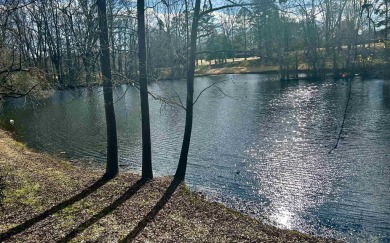 Beautifully renovated, waterfront and maintenance free living on Holly Tree Country Club in South Carolina - for sale on GolfHomes.com, golf home, golf lot