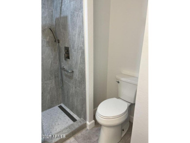 Beautifully remodeled home in the fabulous community of Sun on Sun Lakes Country Club in Arizona - for sale on GolfHomes.com, golf home, golf lot