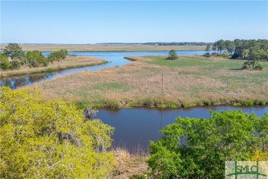 This exceptional homesite offers unparalleled views from sunrise on The Ford Field and River Club  in Georgia - for sale on GolfHomes.com, golf home, golf lot