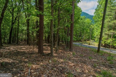 Don't miss the opportunity to own this stunning 0.96-acre corner on Bent Tree Golf Course in Georgia - for sale on GolfHomes.com, golf home, golf lot