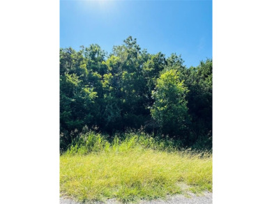 This lot has many trees. It's perfect for building your dream on White Bluff Resort - New Course in Texas - for sale on GolfHomes.com, golf home, golf lot