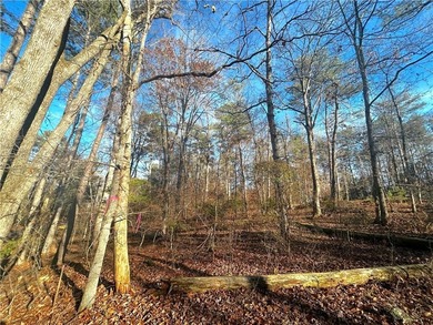 3339 Cherokee Court offers a rare opportunity to build your on Fairfield Plantation Golf and Country Club in Georgia - for sale on GolfHomes.com, golf home, golf lot