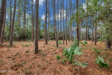 For Sale: .61-Acre Wooded Marshfront Lot in Golf Community with on The Golf Club at Pleasant Point Plantation in South Carolina - for sale on GolfHomes.com, golf home, golf lot