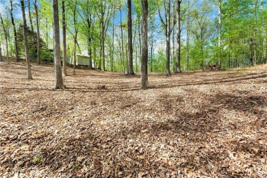 Excellent building lot complete with a covered slip-on Lake on The Trail At Chickasaw Pointe in South Carolina - for sale on GolfHomes.com, golf home, golf lot