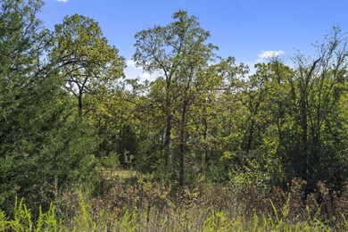 It's time to break ground on Weatherstone Drive in the heart of on Ledgestone Country Club and Golf Course in Missouri - for sale on GolfHomes.com, golf home, golf lot