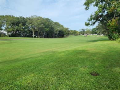 Timber Pine 2 Bedroom Golf Course Home- Great Views OF The Tee on Timber Pines Golf Course in Florida - for sale on GolfHomes.com, golf home, golf lot