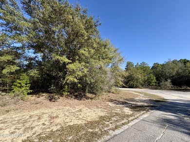 What a great spot to build a home. This corner lot is located on Sunny Hills Golf and Country Club in Florida - for sale on GolfHomes.com, golf home, golf lot