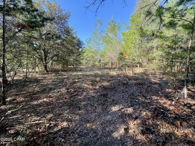 What a great spot to build a home. This corner lot is located on Sunny Hills Golf and Country Club in Florida - for sale on GolfHomes.com, golf home, golf lot