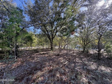 What a great spot to build a home. This corner lot is located on Sunny Hills Golf and Country Club in Florida - for sale on GolfHomes.com, golf home, golf lot